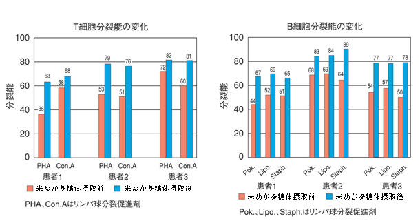 RBS米ぬか多糖体摂取によるリンパ球幼若化促進を表すグラフ